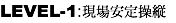 LEVEL-1:現場安定操縦